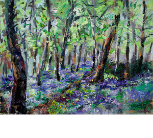 Askwith Bluebells