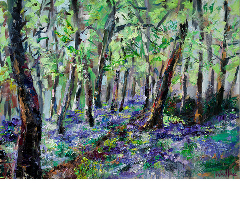 Askwith Bluebells