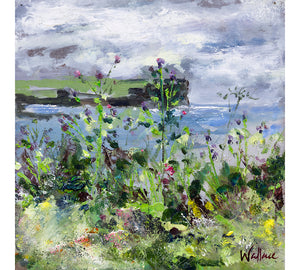 Wildflowers at Marwick Head