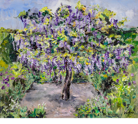 Wisteria Tree