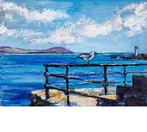 Seagull at Stromness